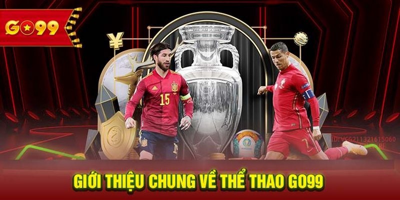 Thể thao là lĩnh vực trọng điểm được đầu tư toàn diện